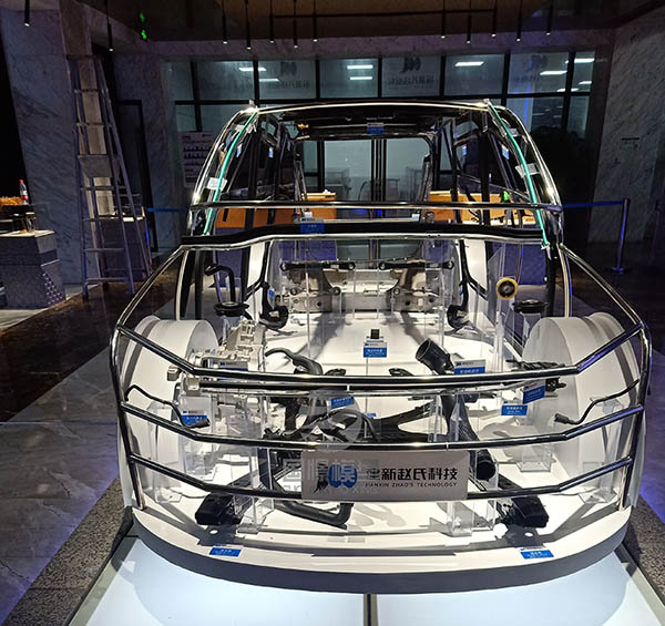 甘德县透明车模型